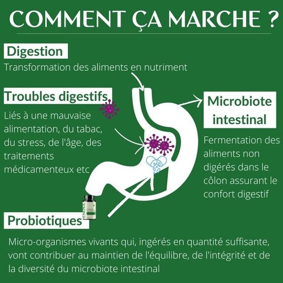 Probiotique Flore Intestinale