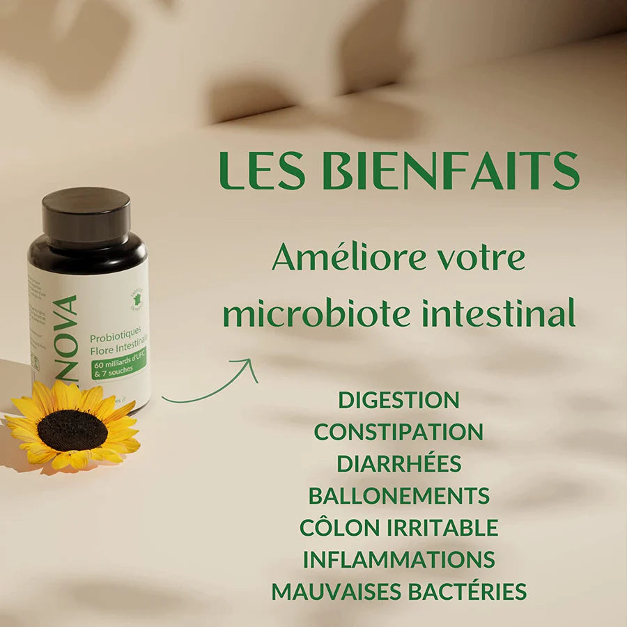 Probiotique Flore Intestinale